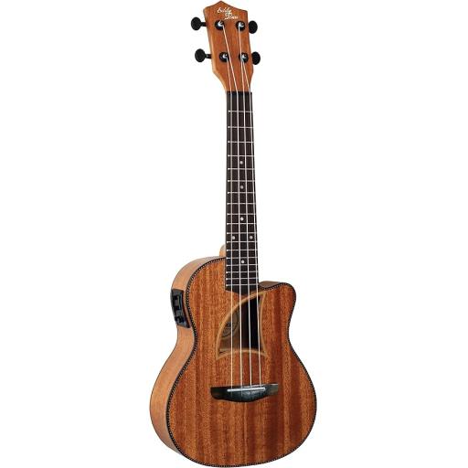 Eddy Finn EF9CE Herringbone Concert Electro Acoustic Ukelele